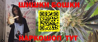 индика Рыбинск