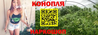 индика Рыбинск