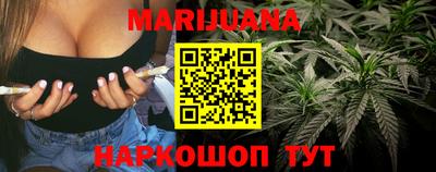 индика Рыбинск