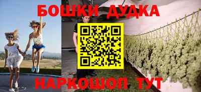 индика Рыбинск