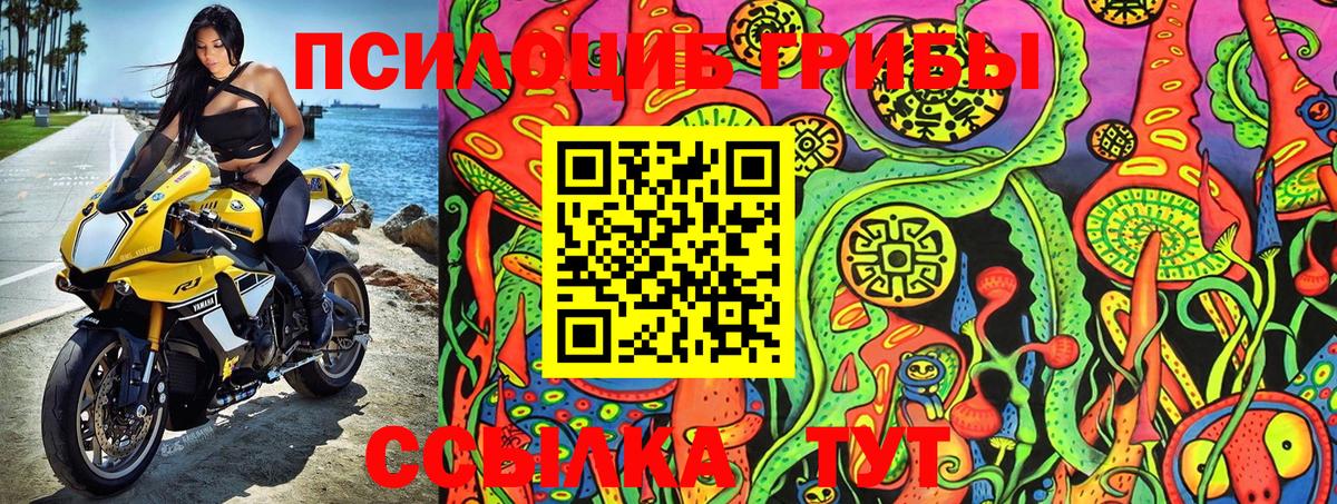 Псилоцибиновые грибы MAGIC MUSHROOMS  Вход с VPN  Псилоцибиновые грибы MAGIC MUSHROOMS  Санкт-Петербург 